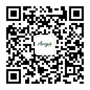 QR-код официального аккаунта Arogin в WeChat